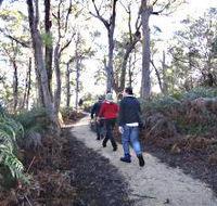 Bridport Walking Track - SA Accommodation