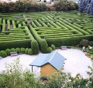 Westbury Maze and Tea Room - SA Accommodation