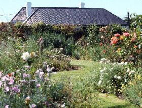 Rosedown Gardens - SA Accommodation 0