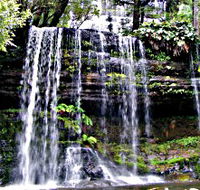 Mt Field National Park - SA Accommodation