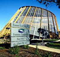 Forest EcoCentre - SA Accommodation