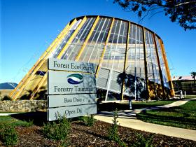 Forest EcoCentre - SA Accommodation 0