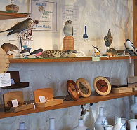 Touchwood Craft Gallery Gifts and Cafe - SA Accommodation