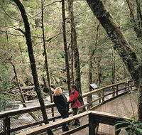 Franklin River Nature Trail - SA Accommodation