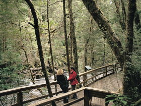 Franklin River Nature Trail - SA Accommodation 0