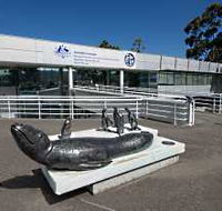 Australia's Antarctic Headquarters - SA Accommodation