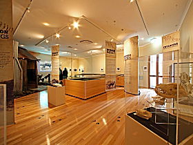 Tasmanian Tiger Exhibition - SA Accommodation 0