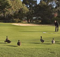 Royal Hobart Golf Club - SA Accommodation
