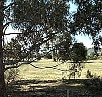 Cygnet Public Golf Course - SA Accommodation