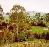 The Tasmanian Arboretum - SA Accommodation
