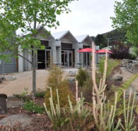 Tin Dragon Interpretation Centre and Cafe - SA Accommodation