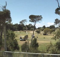 Greens Beach Golf Course - SA Accommodation