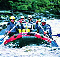Franklin - Gordon Wild Rivers National Park - SA Accommodation