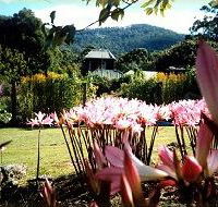 Blueberry Cottage Open Gardens - SA Accommodation