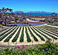 Kate's Berry Farm - SA Accommodation