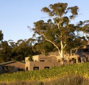 Domaine A / Stoney Vineyard - SA Accommodation