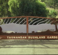 Tasmanian Bushland Garden - SA Accommodation