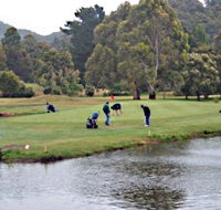 Penguin Golf Course - SA Accommodation