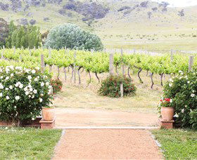 Brindabella Hills Winery - SA Accommodation 0