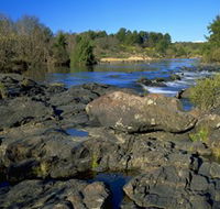 Pine Island to Point Hut Reserve - SA Accommodation