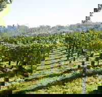Surveyor's Hill Vineyards - SA Accommodation