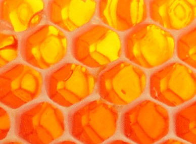 The Honey Pot - SA Accommodation 0