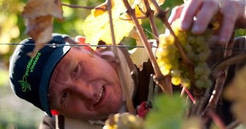 Puddleduck Vineyard - SA Accommodation 0