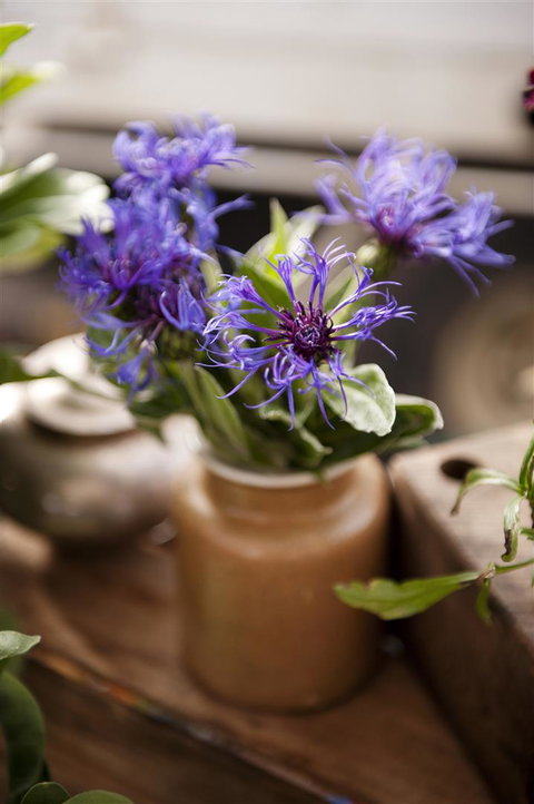 Salamanca Market - SA Accommodation 1