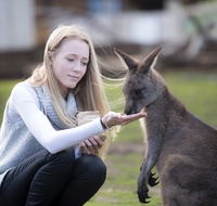 Bonorong Wildlife Sanctuary - SA Accommodation