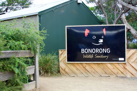 Bonorong Wildlife Sanctuary - SA Accommodation 1