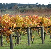 Apsley Gorge Vineyard - SA Accommodation