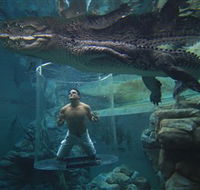 Crocosaurus Cove - SA Accommodation