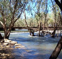 Low Level Nature Reserve - SA Accommodation