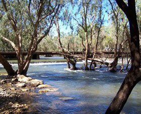 Low Level Nature Reserve - SA Accommodation 0