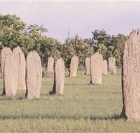 Magnetic Termite Mounds - SA Accommodation