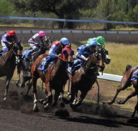 Alice Springs Turf Club - SA Accommodation
