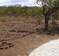 Wurrwurrwuy Garanhan Macassan Beach Interpretive Walk - SA Accommodation