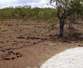 Wurrwurrwuy Garanhan Macassan Beach Interpretive Walk - SA Accommodation 0