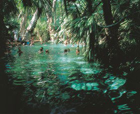 Mataranka Thermal Pool - SA Accommodation 0