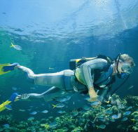 Kirra Reef Dive Site - SA Accommodation