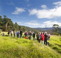 Apple Tree Park - SA Accommodation