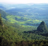 Springbrook Plateau Springbrook National Park - SA Accommodation