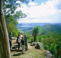 Gold Coast Hinterland Great Walk - SA Accommodation