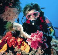 Cook Island Dive Site - SA Accommodation