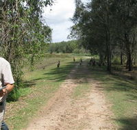 Coombabah Lakes Conservation Area - SA Accommodation