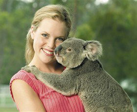 Paradise Country Aussie Farm Tour - SA Accommodation 0