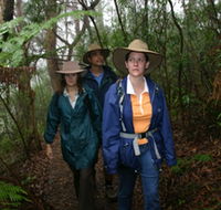 Mount Cougal Springbrook National Park - SA Accommodation