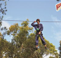 Adventure Parc at Currumbin Wildlife Sanctuary - SA Accommodation