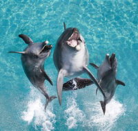 Sea World - SA Accommodation