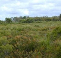 Pine Ridge Conservation Park - SA Accommodation